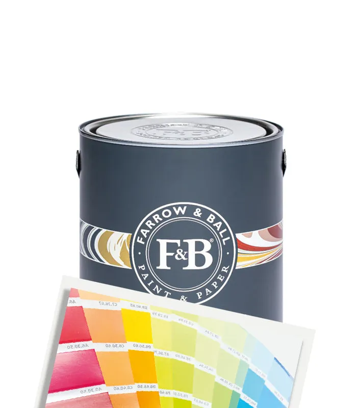 Farrow & Ball Dead Flat Matt Paint - Tinted Colour Match