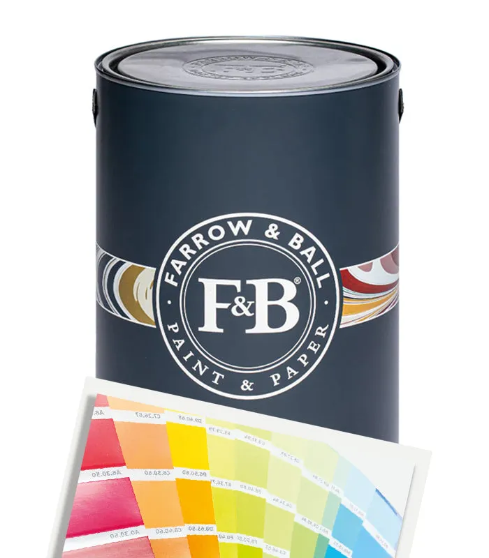 Farrow & Ball Dead Flat Matt Paint - Tinted Colour Match