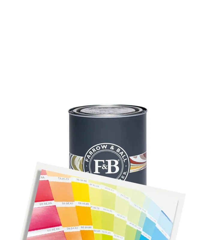 Farrow & Ball Dead Flat Matt Paint - Tinted Colour Match