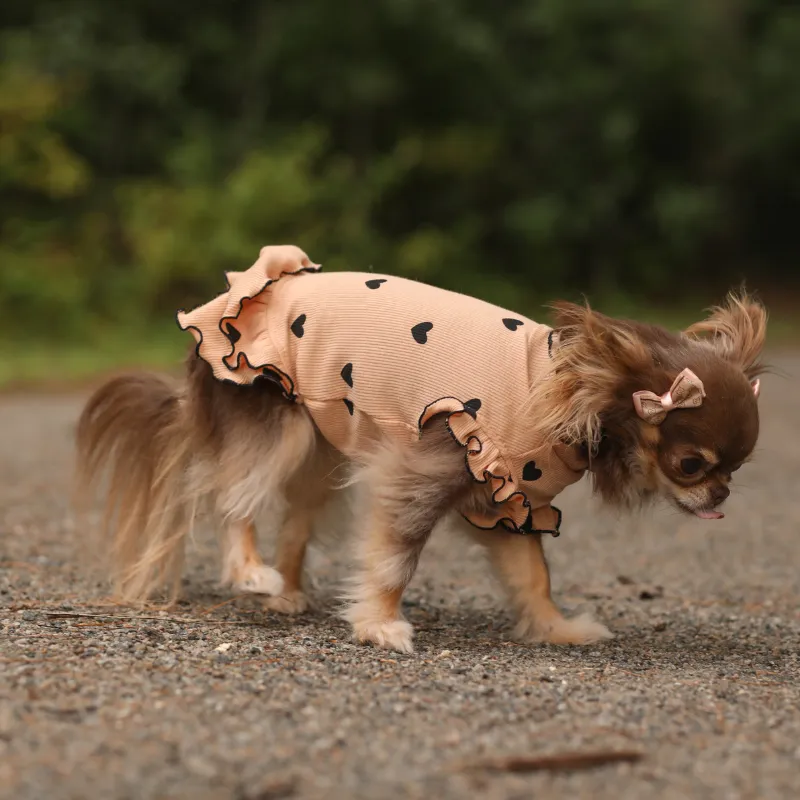 Lovable Ruffles Dress