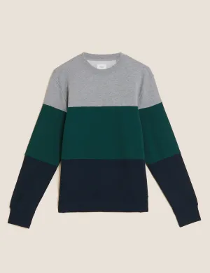 Pure Cotton Colour Sweatshirt